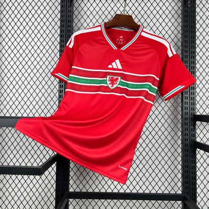 Wales home kit 2026 