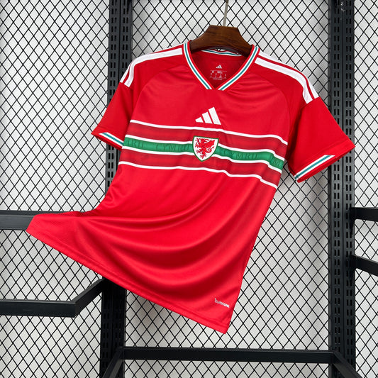 Wales home kit 2026 